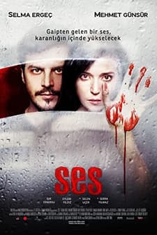 Ses (2010) afişi