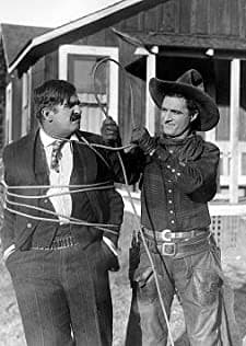 Hell-roarin' Reform (1919) afişi