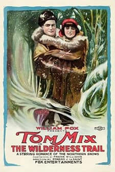 The Wilderness Trail (1919) afişi