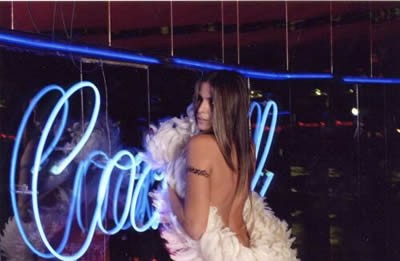 Bellini And The Sphynx fotoğrafı