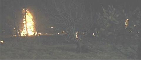 Murder She Said fotoğrafı