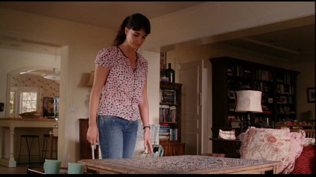 Spanglish fotoğrafı