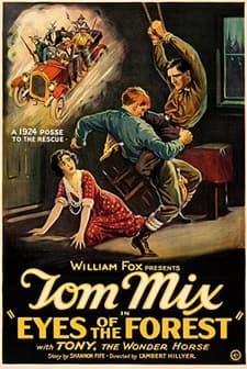 Eyes Of The Forest (1923) afişi