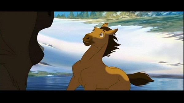 Özgür Ruh Fotoğrafı