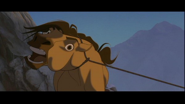 Özgür Ruh Fotoğrafı