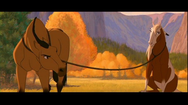 Özgür Ruh Fotoğrafı