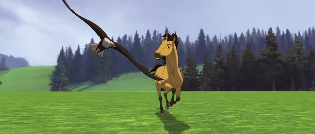 Özgür Ruh Fotoğrafı