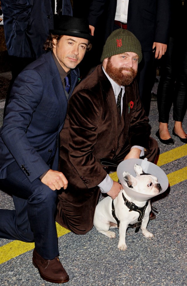 Git Başımdan Fotoğrafı