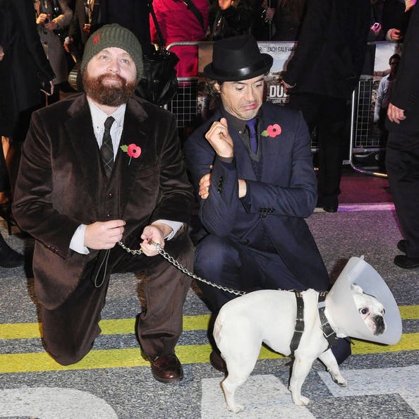 Git Başımdan fotoğrafı