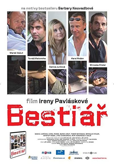 The Bitch's Diary (2007) afişi