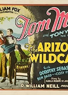 The Arizona Wildcat (1927) afişi
