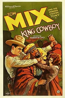 King Cowboy (1928) afişi