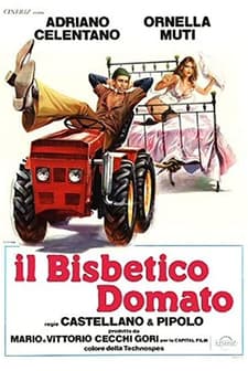 The Taming of the Scoundrel (1980) afişi