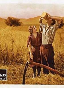 Everybody's Sweetheart (1920) afişi