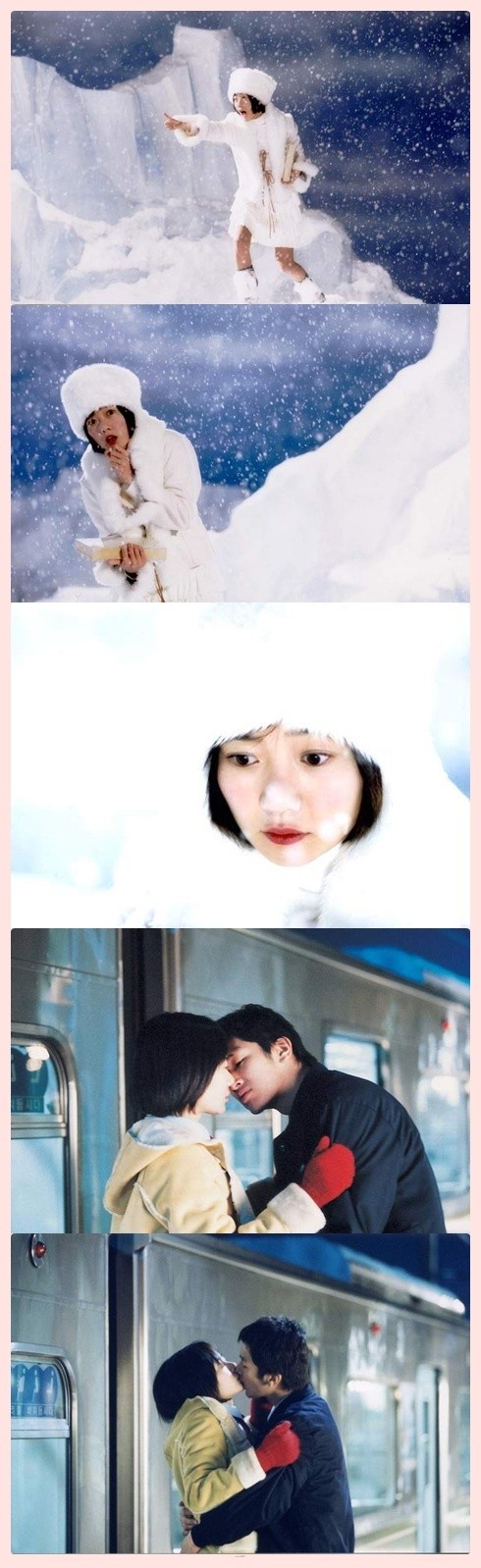 Spring Bears Love Fotoğrafı