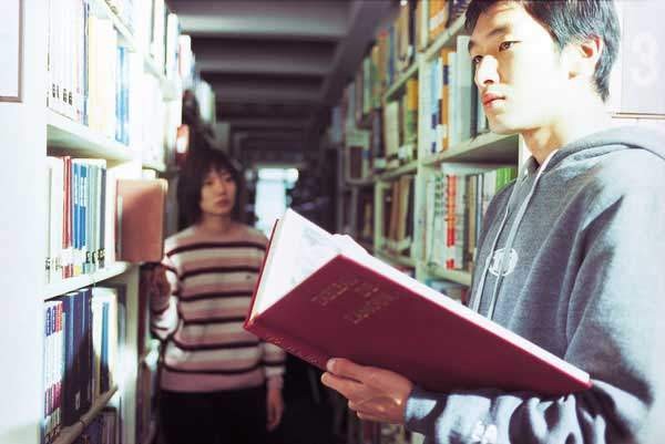 Spring Bears Love Fotoğrafı