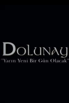 Dolunay (2017) afişi