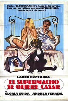 Travolto Dagli Affetti Familiari (1978) afişi