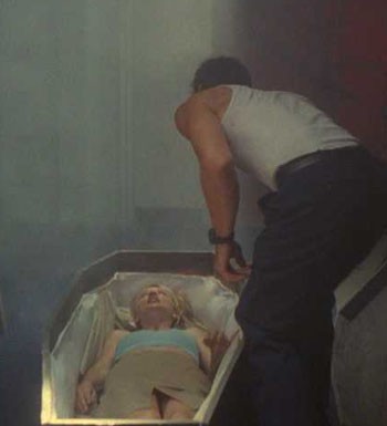 Tail Sting fotoğrafı