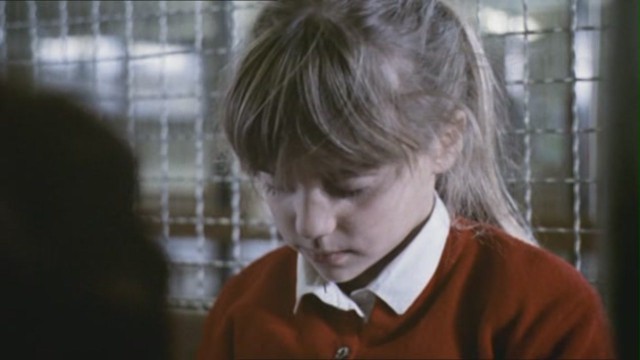 Yedinci Kıta Fotoğrafı