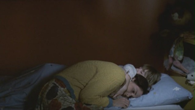 Yedinci Kıta Fotoğrafı