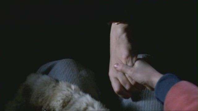 Yedinci Kıta fotoğrafı