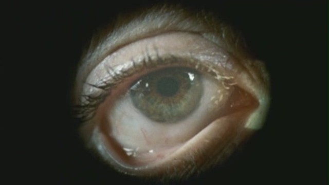 Yedinci Kıta Fotoğrafı