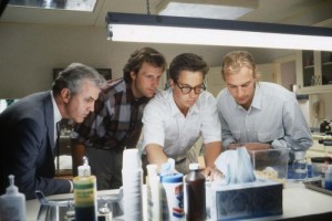 Örümcek Korkusu fotoğrafı