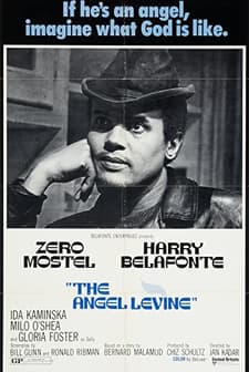 Melek Levine (1970) afişi