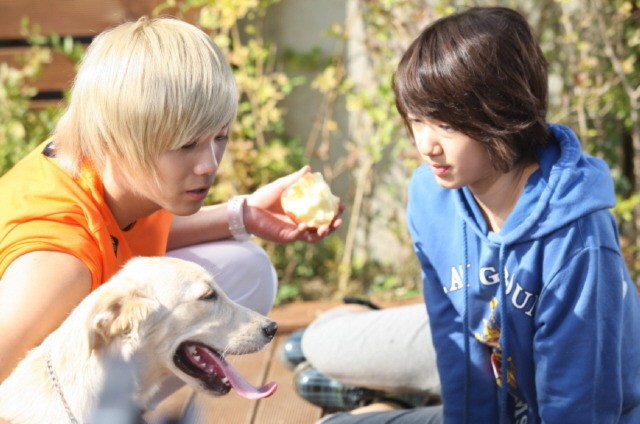 You're Beautiful Fotoğrafı