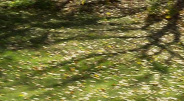 The Attic Fotoğrafı