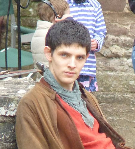 Merlin Fotoğrafı