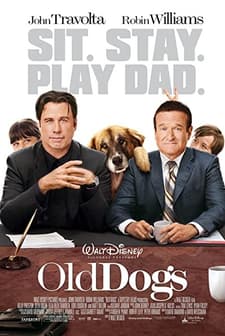 İki Babalık (2009) afişi