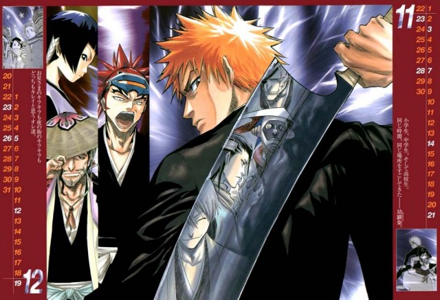 Bleach Fotoğrafı