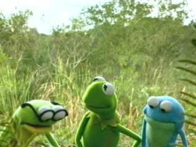 Kermitin Bataklık Yılları fotoğrafı