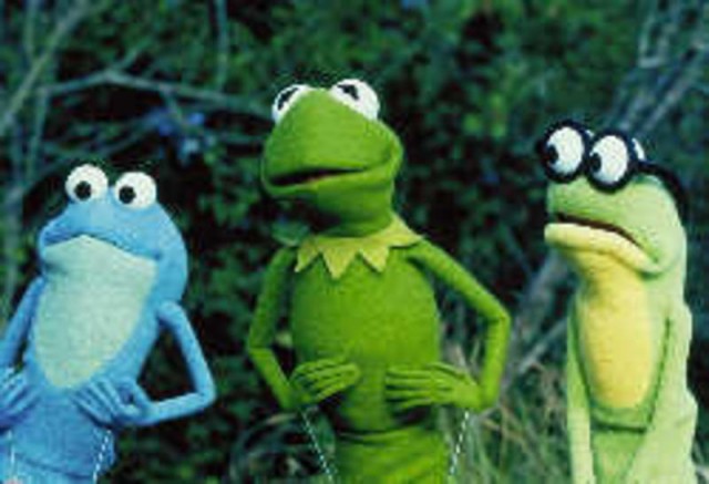 Kermitin Bataklık Yılları fotoğrafı