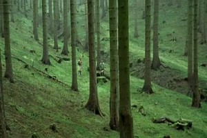 Hansel Ve Gretel Fotoğrafı