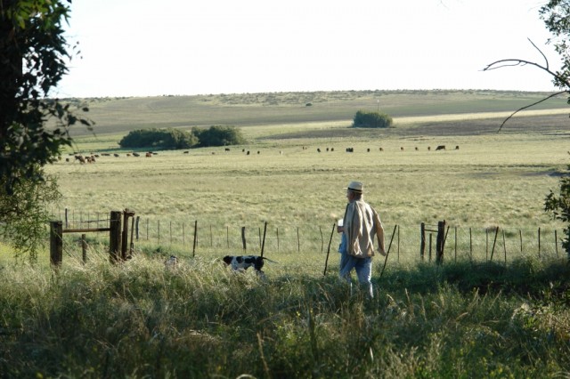 La Ventana Fotoğrafı