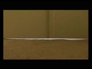 Spirits Among Us Fotoğrafı