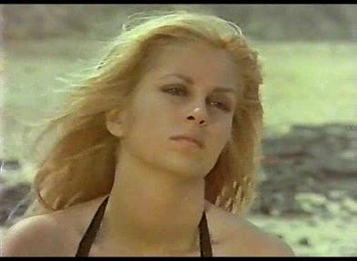 Bir Demet Menekşe Fotoğrafı