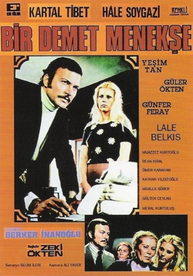 Bir Demet Menekşe (1973) afişi