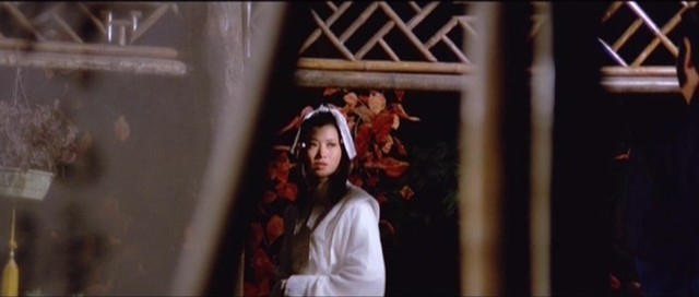 Liu Xing Hu Die Jian Fotoğrafı