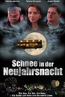 Schnee In Der Neujahrsnacht (1999) afişi