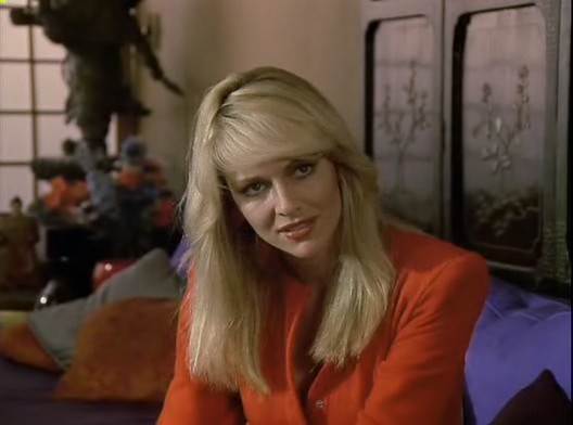 Ninjanın Intikamı fotoğrafı