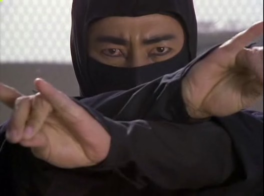 Ninjanın Intikamı Fotoğrafı