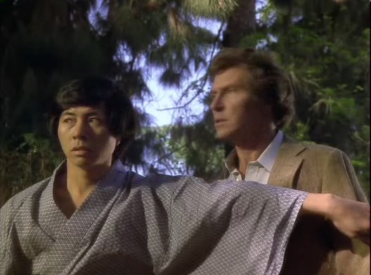 Ninjanın Intikamı Fotoğrafı