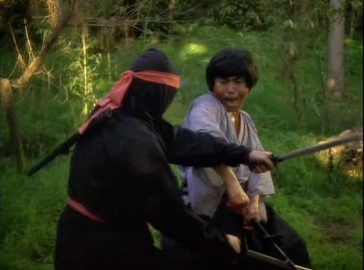 Ninjanın Intikamı Fotoğrafı