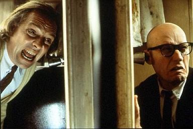 Guest House Paradiso fotoğrafı