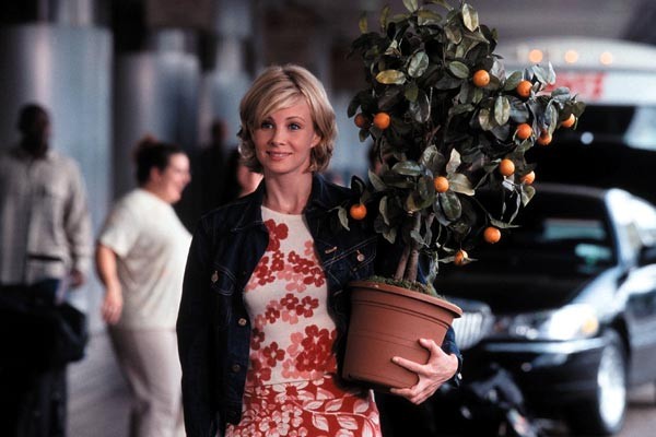 Aşk Kapıyı Çalınca fotoğrafı