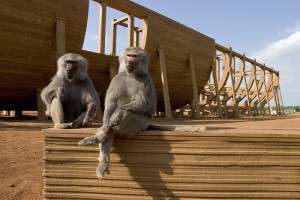 Aman Tanrım Fotoğrafı